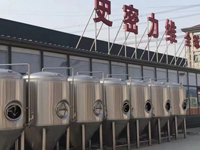 排湖风景区精酿啤酒设备厂—市场规模与跨界新需求